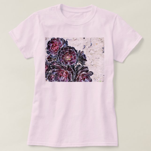 Camiseta Flor del Aeonium en rocas secas (Diseño del anverso)