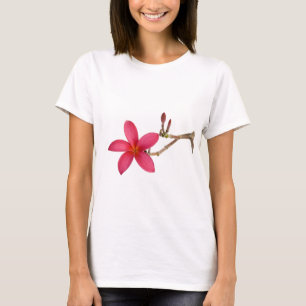 Camiseta Flor roja del Frangipani