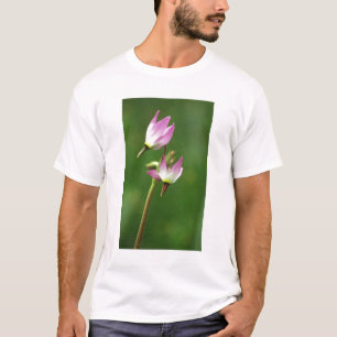 Camiseta Flor silvestre de la estrella de tiro, California,