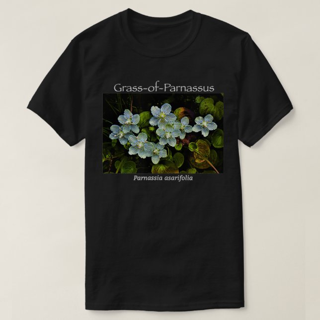 Camiseta Flor silvestre Grass-of-Parnassus (Diseño del anverso)