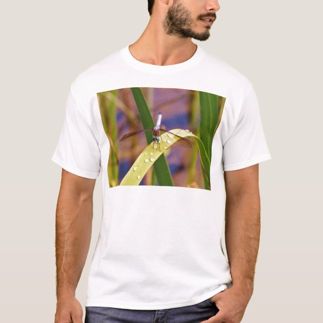 Camiseta Flora de dragón en hojas de roca de lluvia (Anverso)