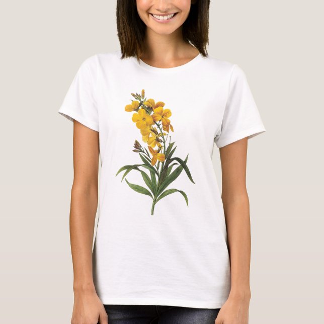Camiseta Flores amarillas, Pierre Joseph Redouté (Anverso)