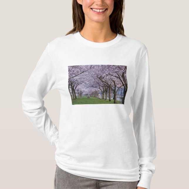 Camiseta Flores de cerezo a lo largo del río Willamette, EE (Anverso)