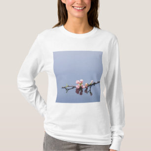 Camiseta Flores de cerezo en el agua