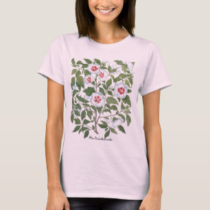 Camiseta Flores de Hibisco Antiguas por Basilius Besler