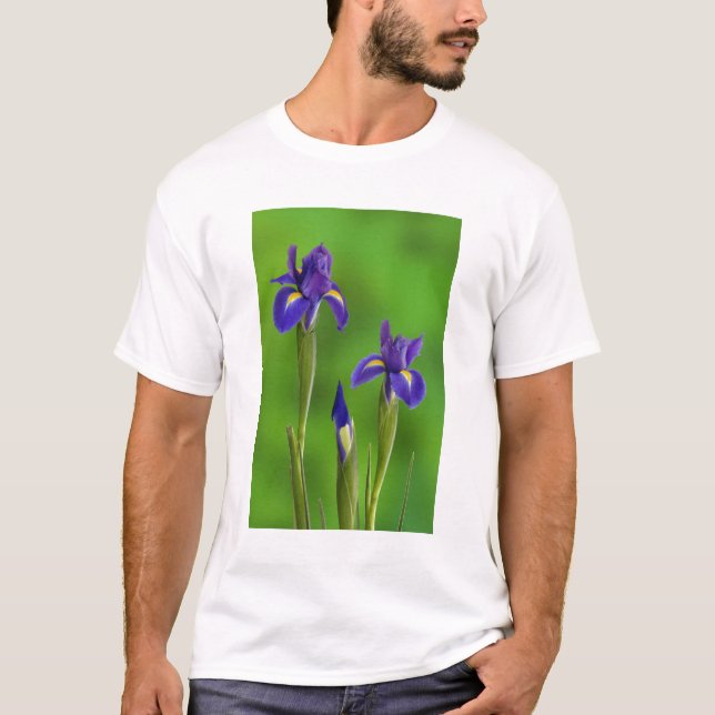 Camiseta Flores de iris (Anverso)