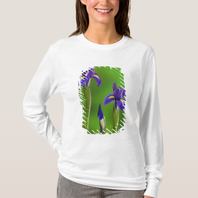 Camiseta Flores de Iris (Anverso)