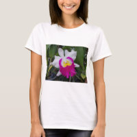 Flores de la orquídea de Tailandia