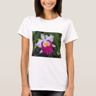 Camiseta Flores de la orquídea de Tailandia