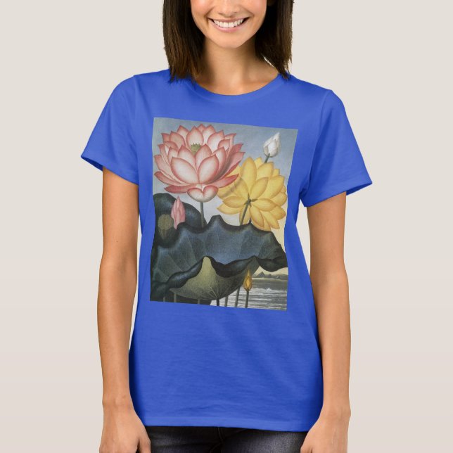 Camiseta Flores de Lotus de época, el sagrado bean egipcio (Anverso)