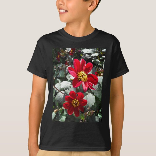 Camiseta flores de margarita rosada roja / margarita (Anverso)