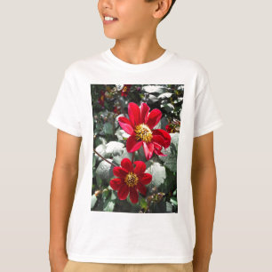 Camiseta flores de margarita rosada roja / margarita
