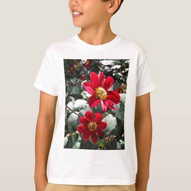 Camiseta flores de margarita rosada roja / margarita (Anverso)