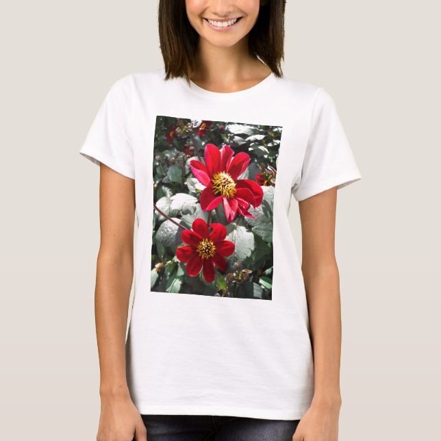 Camiseta flores de margarita rosada roja / margarita (Anverso)