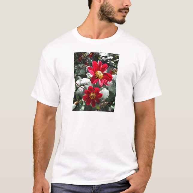 Camiseta flores de margarita rosada roja / margarita (Anverso)