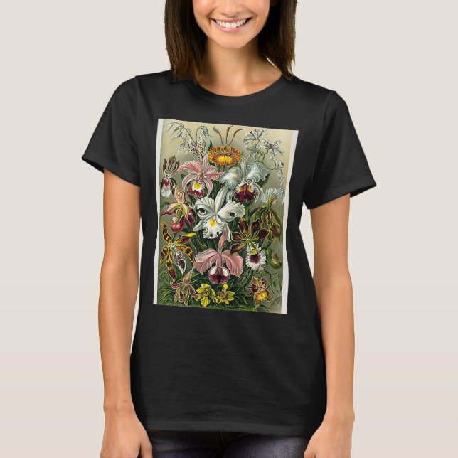 Camiseta Flores de orquídeas de época Diagrama 1904 (Anverso)