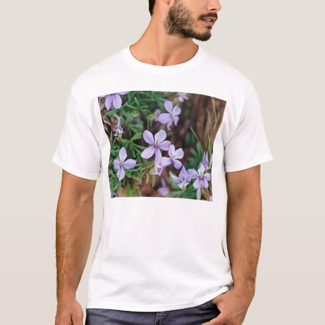 Camiseta Flores salvajes (Anverso)