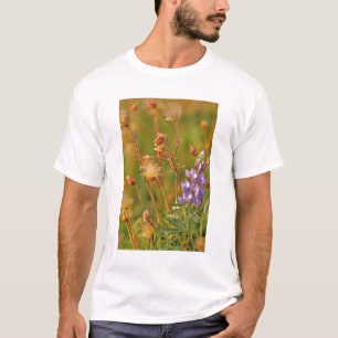 Camiseta Flores silvestres de altramuz y humo de pradera en