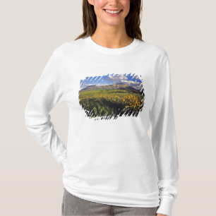 Camiseta Flores silvestres de balsamita de hoja de flecha e
