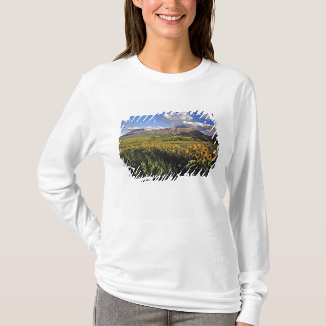 Camiseta Flores silvestres de balsamita de hoja de flecha e (Anverso)