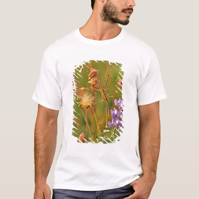 Camiseta Flores silvestres de prairie y lupa en Montana (Anverso)