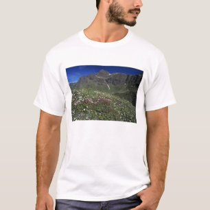 Camiseta Flores silvestres, floreciendo, Alpes, Suiza