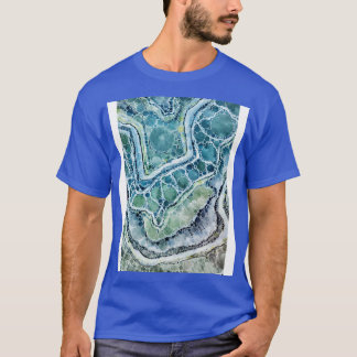 Camiseta Florida Froth Geode