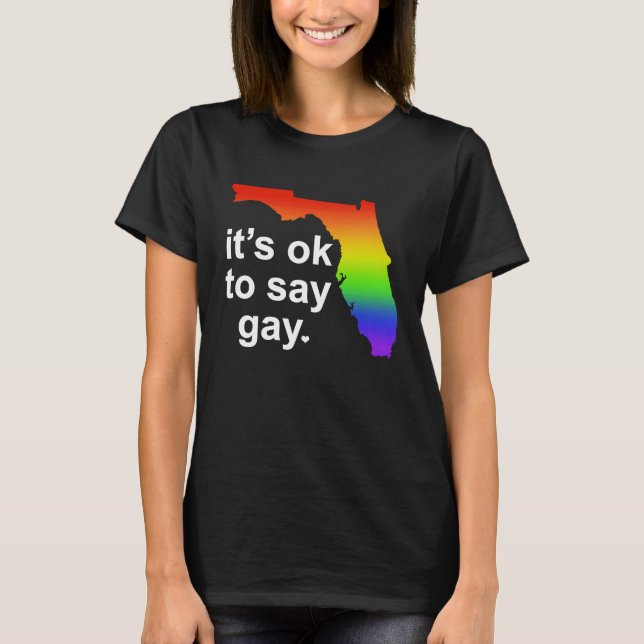 Camiseta Florida LGBTQ It's OK to Say Gay Protect LGBTQ Fre (Anverso)