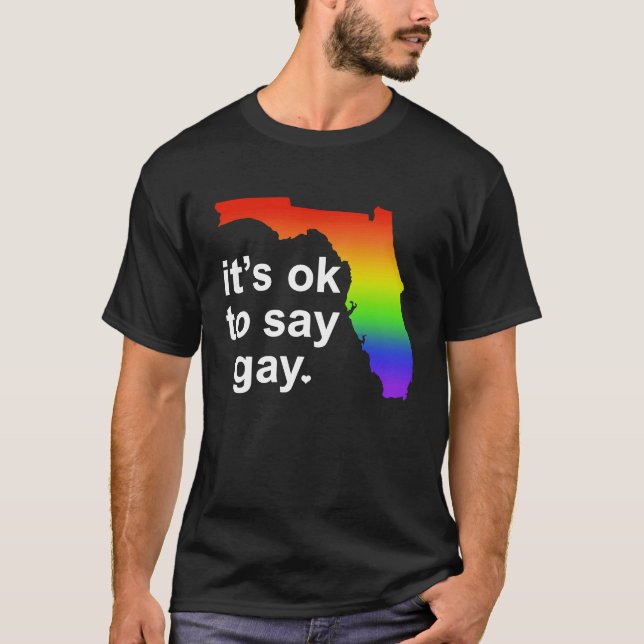 Camiseta Florida LGBTQ It's OK to Say Gay Protect LGBTQ Fre (Anverso)