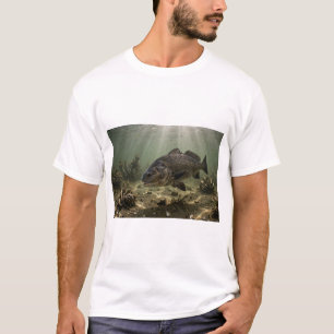 Camiseta Florida Man Black Drum Bay Oyster Bar Fis