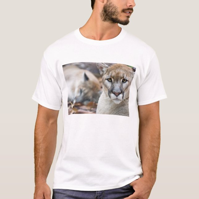 Camiseta Florida Panther (Anverso)