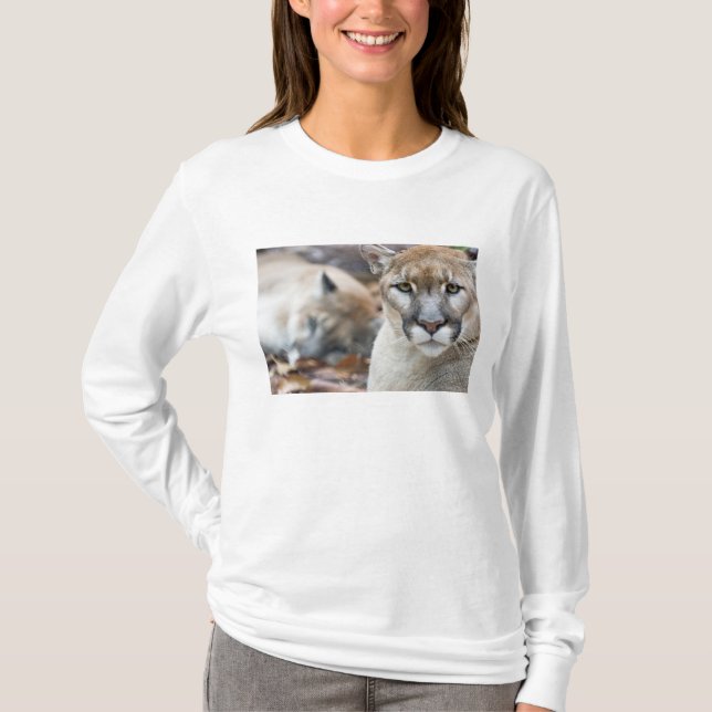 Camiseta Florida Panther (Anverso)