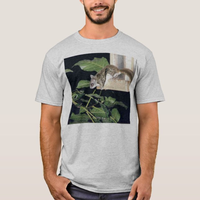Camiseta FlyingSquirrel (Anverso)