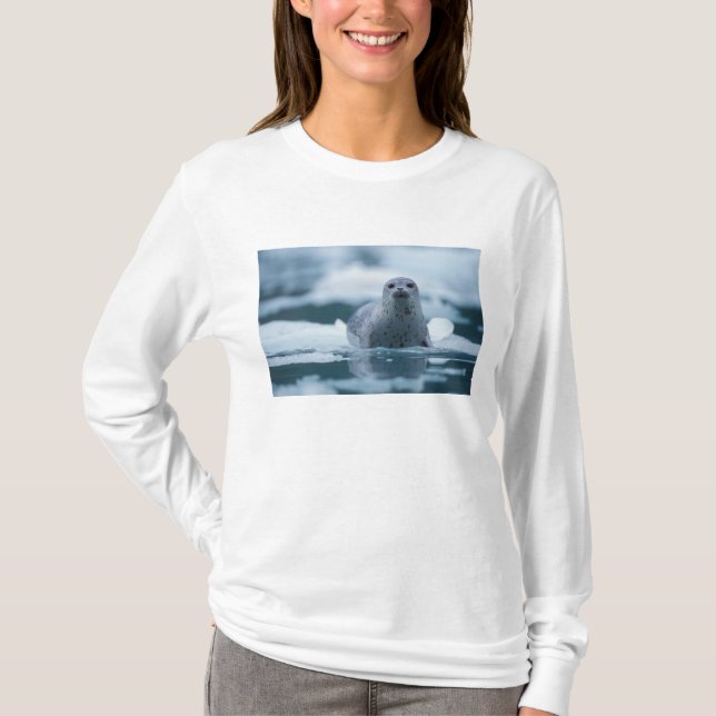 Camiseta foca común del pacífico, Phoca vitulina richardsi (Anverso)