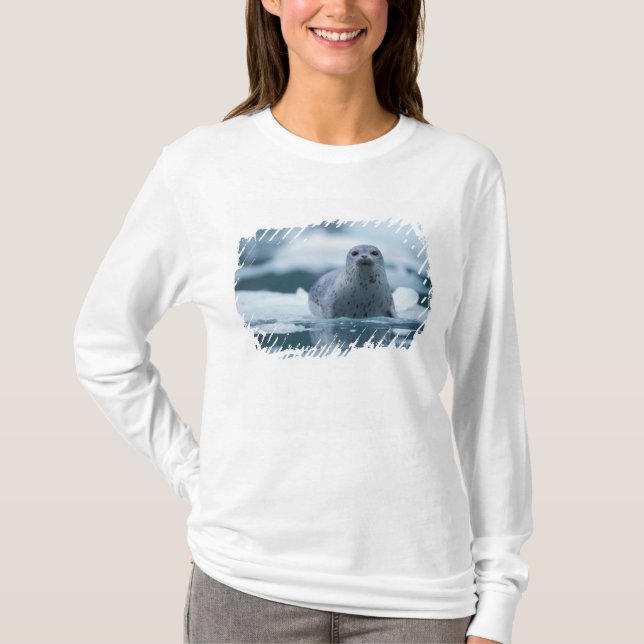 Camiseta foca común del Pacífico, Phoca vitulina richardsi (Anverso)