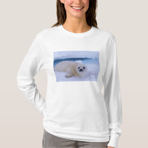 Camiseta Foca de Groenlandia Norteamérica, Canadá, Quebec