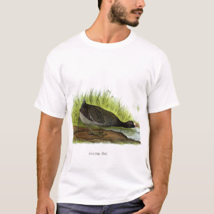 Camiseta Focha americana