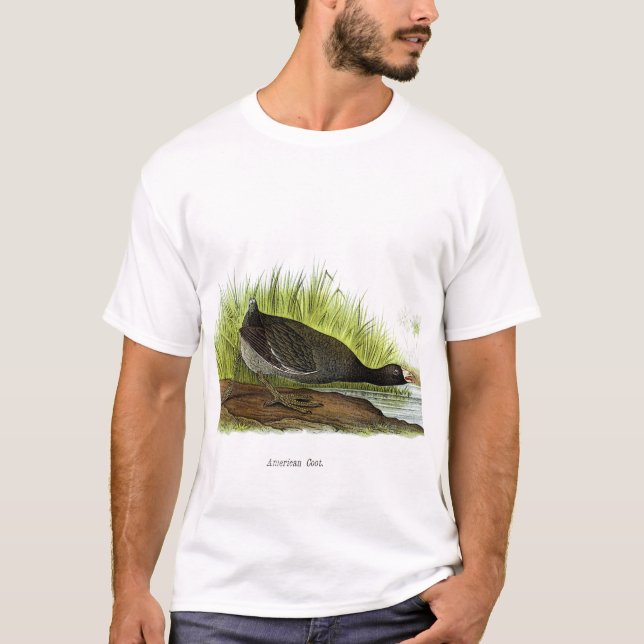Camiseta Focha americana (Anverso)
