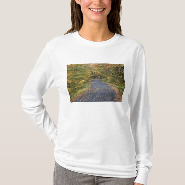 Camiseta Foliage de Roadside, Southern Vermont, EE.UU. (Anverso)