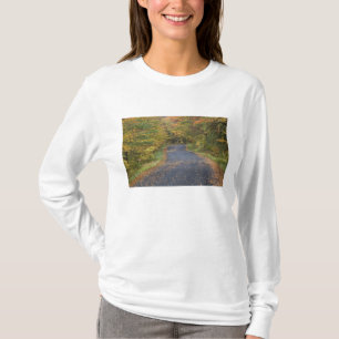 Camiseta Follaje de otoño en la carretera, sur de Vermont,