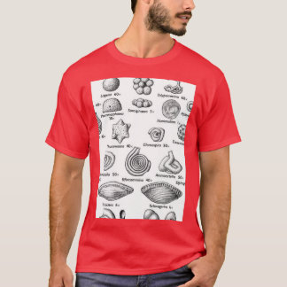 Camiseta Foraminifera me encantan los fósiles