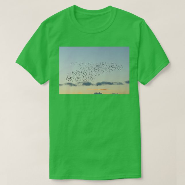 Camiseta Formación de ballenas estelar Larga (Diseño del anverso)