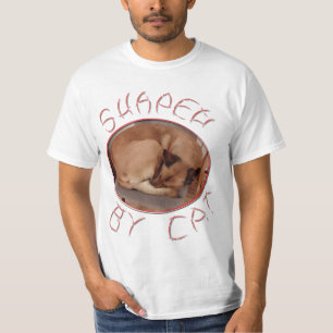 Camiseta Formado por gatos
