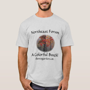 Camiseta Foro de nordeste #6: la imagen del duendecillo -
