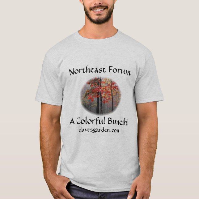 Camiseta Foro de nordeste #6: la imagen del duendecillo - (Anverso)