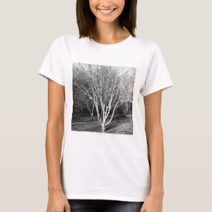 Camiseta Foto cuadrada - Árbol
