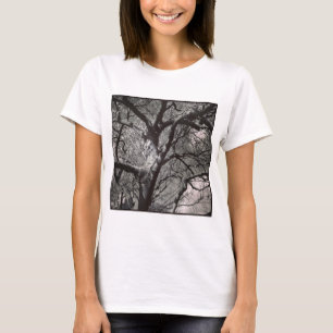 Camiseta Foto cuadrada - Árbol de Magnolia en Primavera Tem