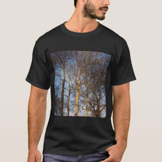 Camiseta Foto cuadrada - Árboles invernales iluminados por 