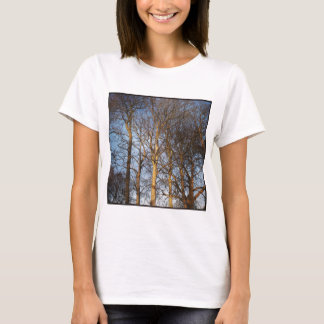 Camiseta Foto cuadrada - Árboles invernales iluminados por 