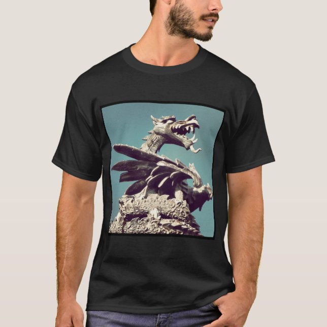 Camiseta Foto cuadrada - Dragón (Anverso)